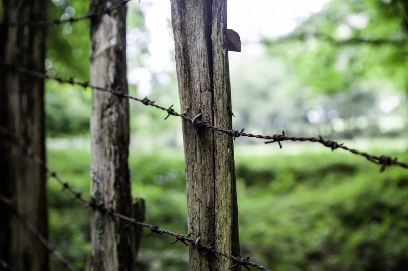Farm Fence Repair detail